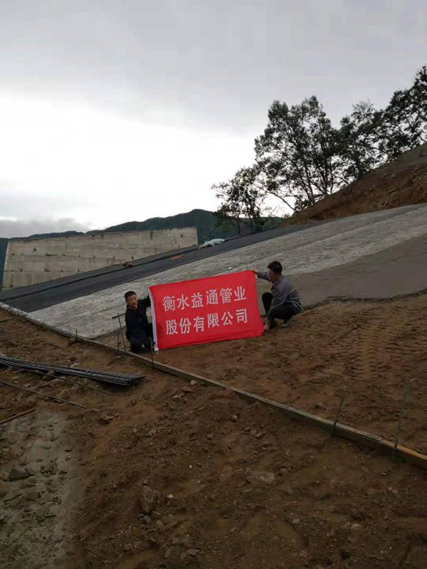 精品国产一区二区三区久久影院